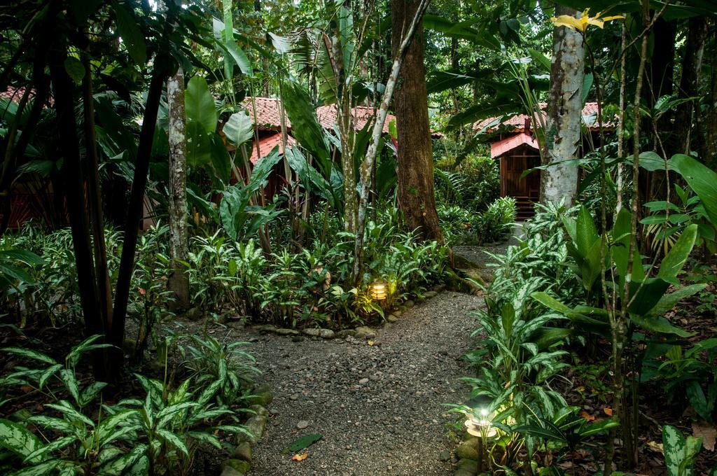 Tierra de Sueños Lodge&Wellness Center Puerto Viejo de Talamanca Exterior foto